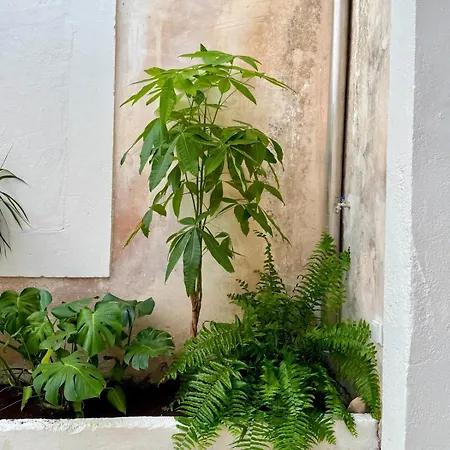 La Font Appartement
